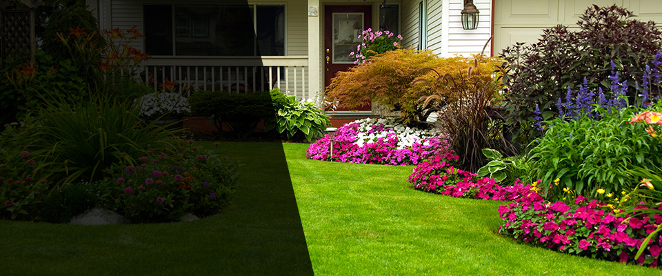 Cohoes Landscapers
